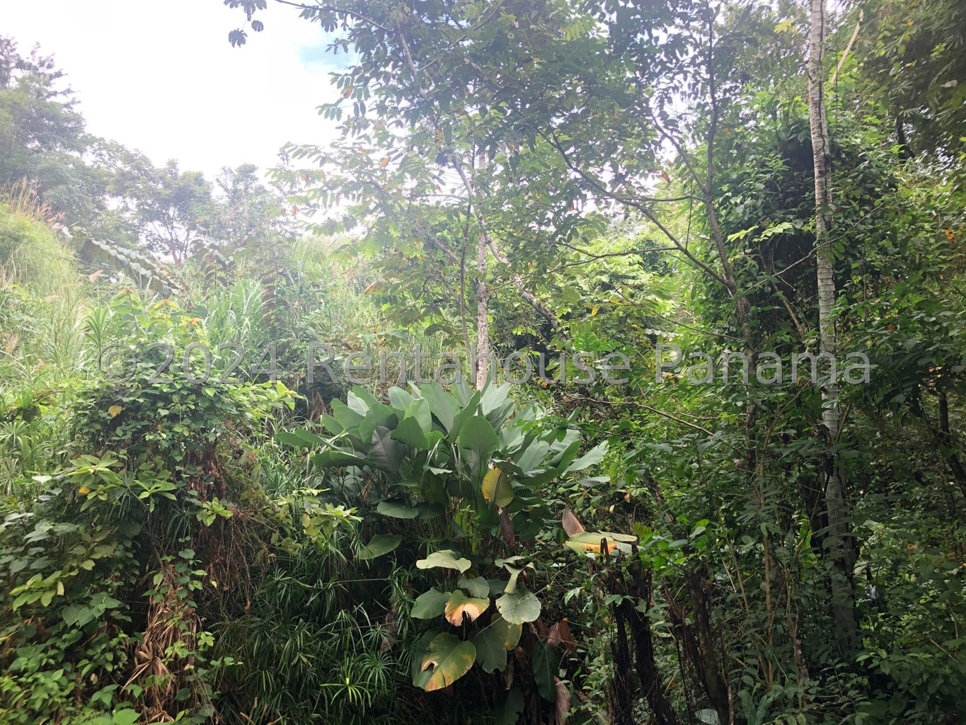 Land for Sale in Panama City Panamá Province 07104